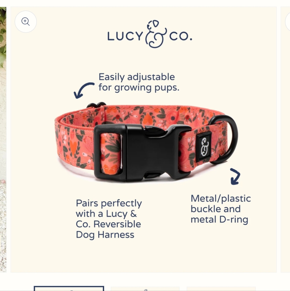 Brand new medium dog collar